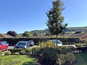 Photo 11- click for photo gallery